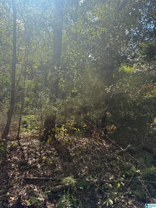 45-Lot 45 County Road 264, Wedowee, AL, 36278 | Card Image