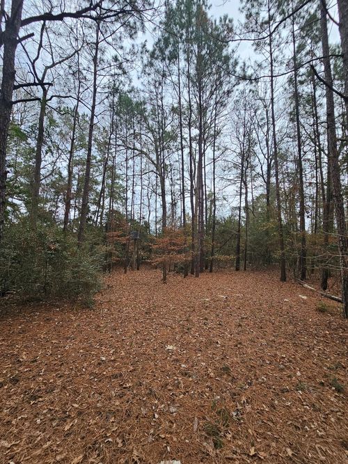 263 Wishing Trl, Livingston, TX, 77351-3781 | Card Image