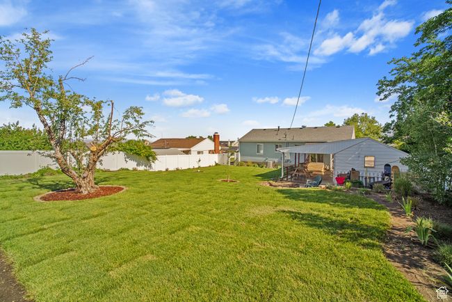 View of yard | Image 28