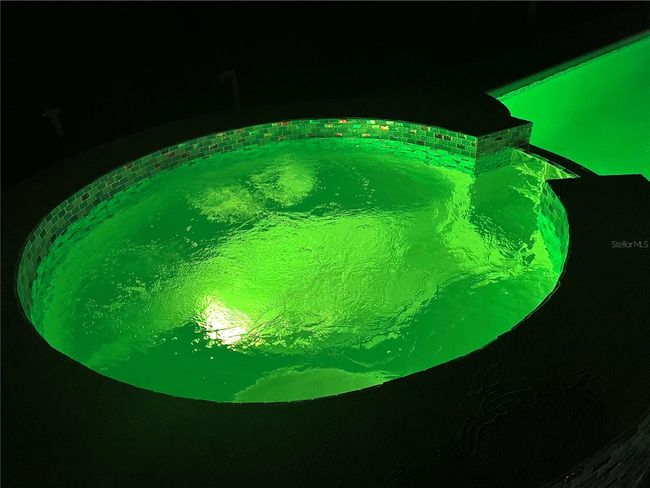 Owner added brand new multicolor pool lights! | Image 28
