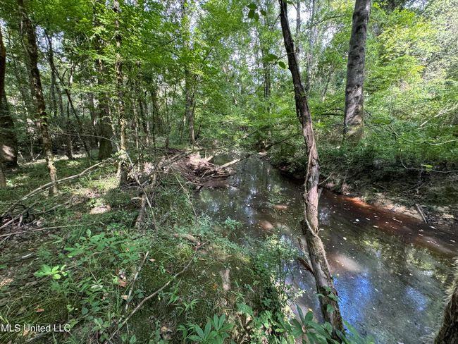 land-for-sale-lincoln-county-ms 16 | Image 18