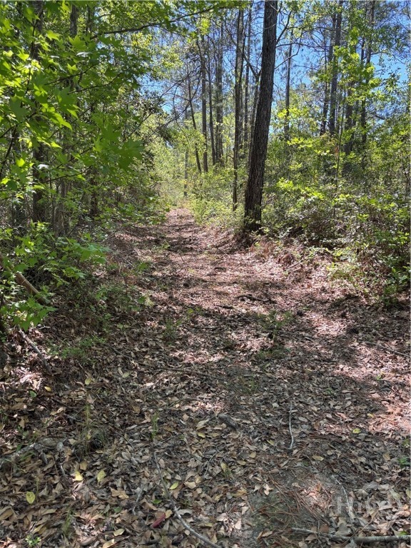 Land in Rincon 2