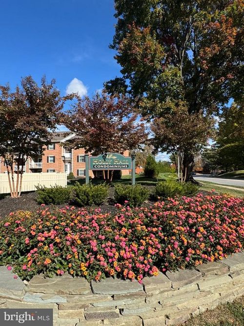 unit-202-4 Belmullet Ct, LUTHERVILLE TIMONIUM, MD, 21093-6551 | Card Image