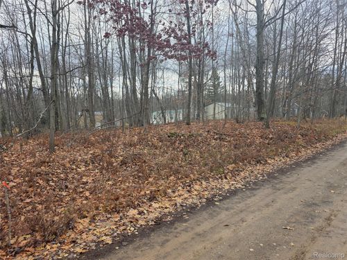 VL Birch Road, Hartwick Township, MI, 49631 | Card Image