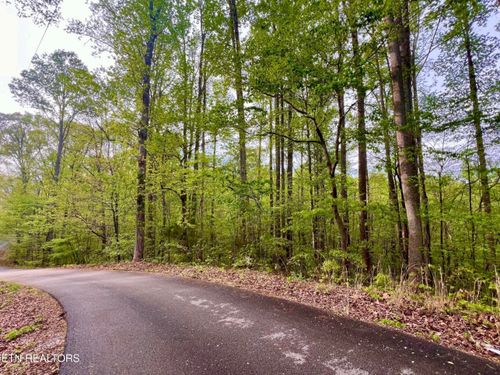 Lot 76&77 Polly Mountain Rd, Madisonville, TN, 37354 | Card Image