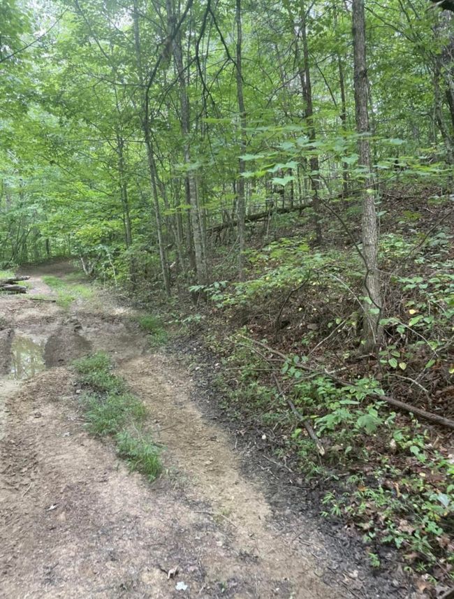 45 Kinkaid Rd, Home with 0 bedrooms, 0 bathrooms and null parking in Manchester KY | Image 20