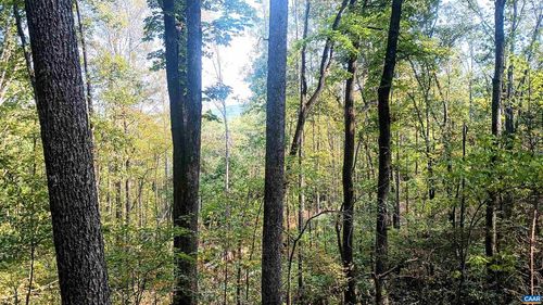 15 Deer Run Ln, SHIPMAN, VA, 22971-2600 | Card Image