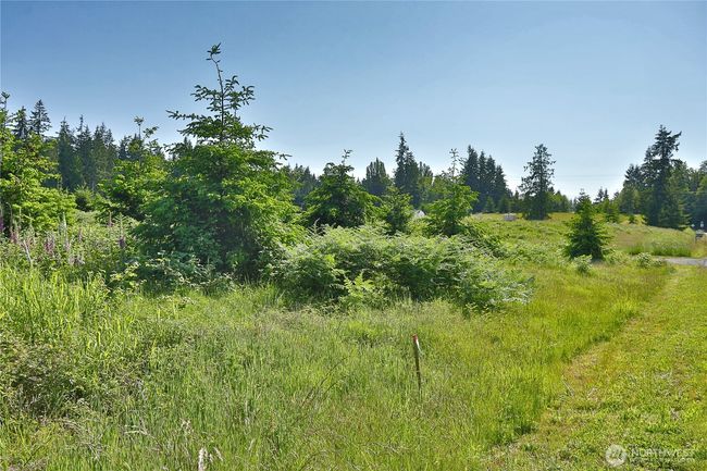 2062 Goodell Rd, Home with 0 bedrooms, 0 bathrooms and null parking in Freeland WA | Image 4