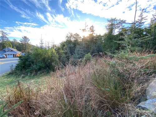 342 Pass Of Melfort Pl, Ucluelet, BC, V0R3A0 | Card Image