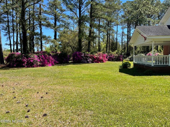 Side and front yard | Image 12