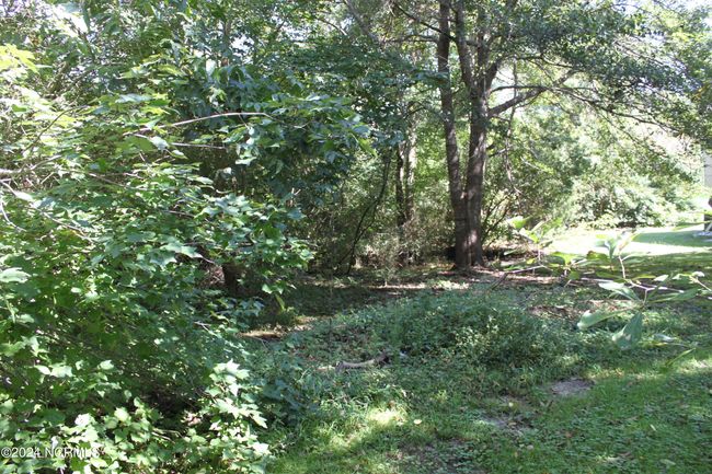 419 Cannons Ferry Rd, Home with 0 bedrooms, 0 bathrooms and null parking in Tyner NC | Image 24
