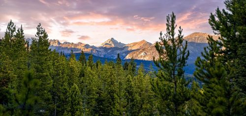 2 White Grass Rd, Big Sky, MT, 59716 | Card Image