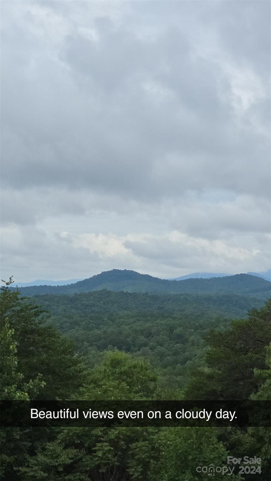 Residential in Lake Lure