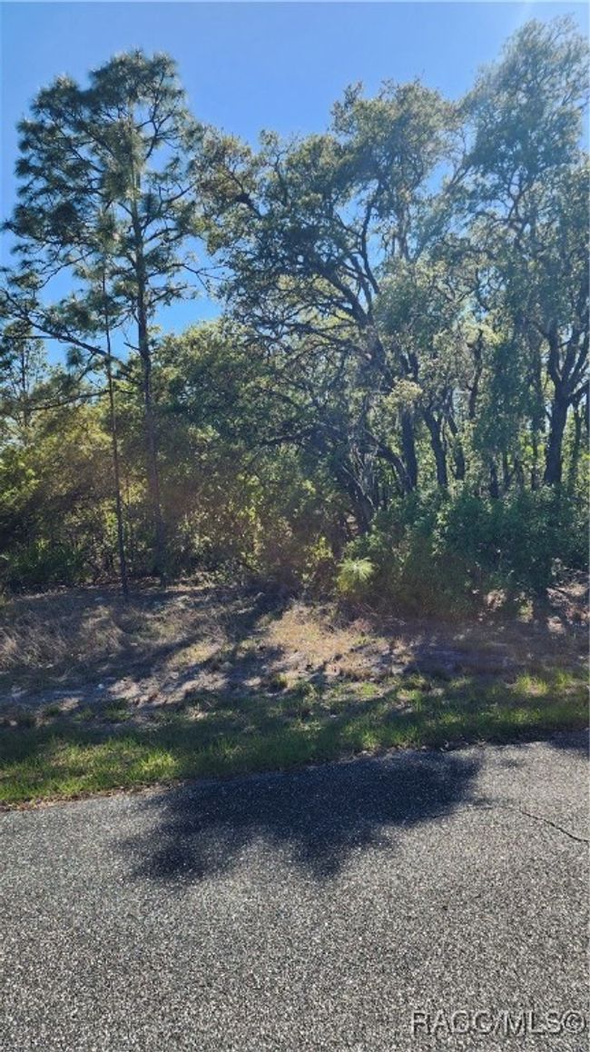 2872 W Lambert Dr, Home with 0 bedrooms, 0 bathrooms and null parking in DUNNELLON FL | Image 9