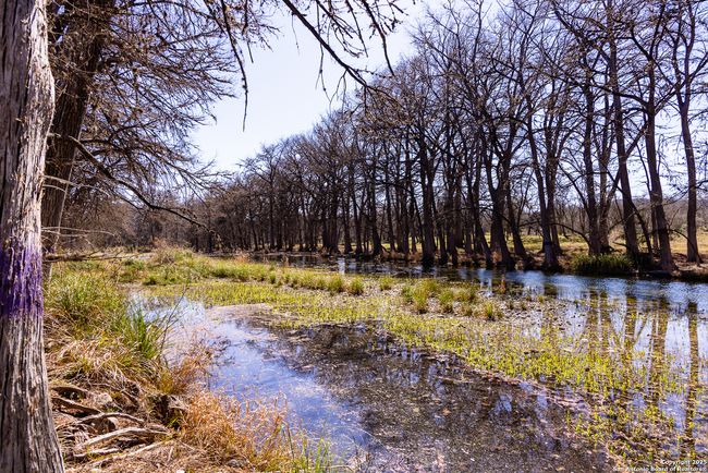 2400 Little Dry Frio Rd, Home with 0 bedrooms, 0 bathrooms and null parking in Rio Frio TX | Image 24
