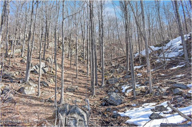 48 Durkin Rd, Home with 0 bedrooms, 0 bathrooms and null parking in North Creek NY | Image 36