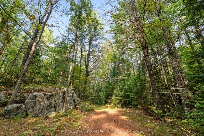 00 Highway 41, Home with 0 bedrooms, 0 bathrooms and null parking in Kaladar ON | Image 14