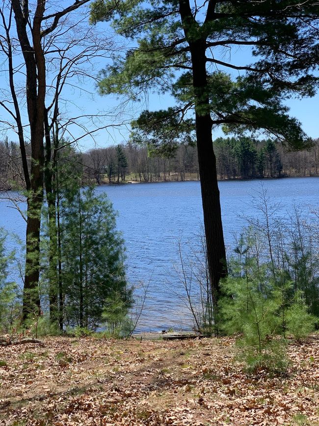 21249 Monroe Rd, Home with 0 bedrooms, 0 bathrooms and null parking in Morley MI | Image 4
