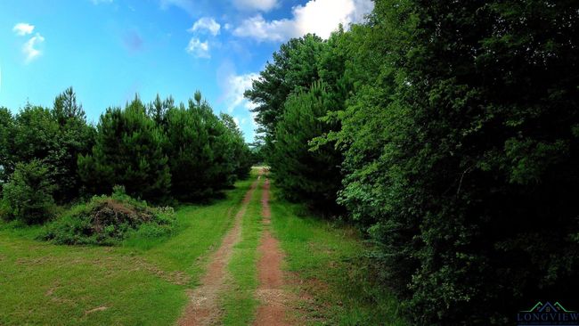 8103 Us Highway 259 N, House other with 4 bedrooms, 3 bathrooms and null parking in Omaha TX | Image 44
