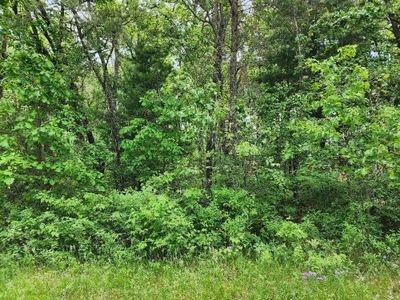 Lot 11 W 17th Drive, Home with 0 bedrooms, 0 bathrooms and null parking in Monroe WI | Image 2