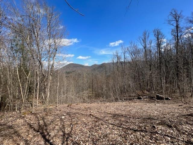 Land in Franklin 2
