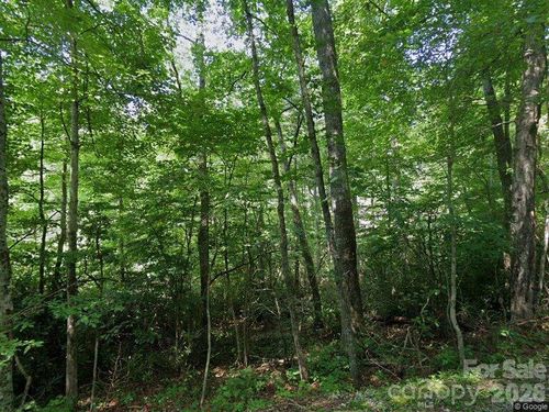 150 Ivy Rd, Newland, NC, 28657-8310 | Card Image
