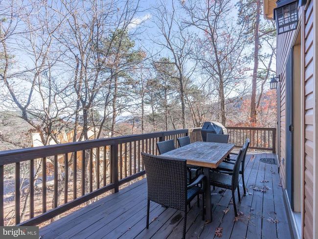 160 Wilson Way, House other with 4 bedrooms, 4 bathrooms and null parking in MCGAHEYSVILLE VA | Image 66