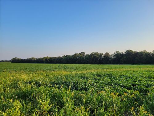 0 Hwy Dd (37.53+/- Ac) Tract F, Bellflower, MO, 63333 | Card Image