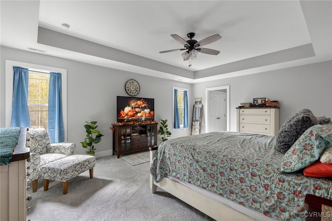 Carpeted bedroom featuring baseboards, ceiling fan, a tray ceiling, and visible vents | Image 28