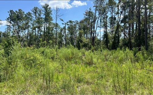 000 10th Ter, Live Oak, FL, 32060 | Card Image