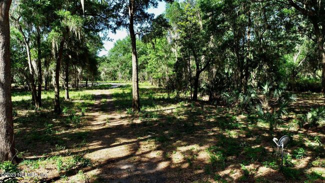 lot 2 Edwards Creek Road, Home with 0 bedrooms, 0 bathrooms and null parking in Jacksonville FL | Image 5