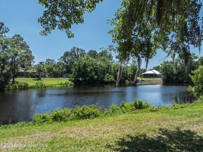 Pond | Image 46