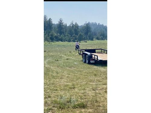 127 Sedgewich Dr, Hartsel, CO, 80449 | Card Image