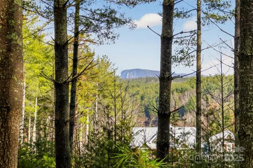 25-365 Peninsula Reserve Rd, Nebo, NC, 28761-0196 | Card Image