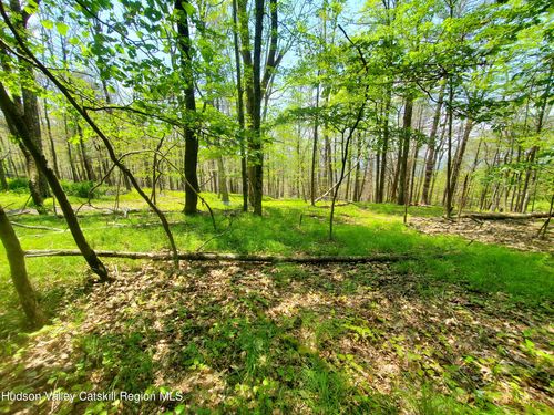 Tbd Piney Lane, Cragsmoor, NY, 12420 | Card Image