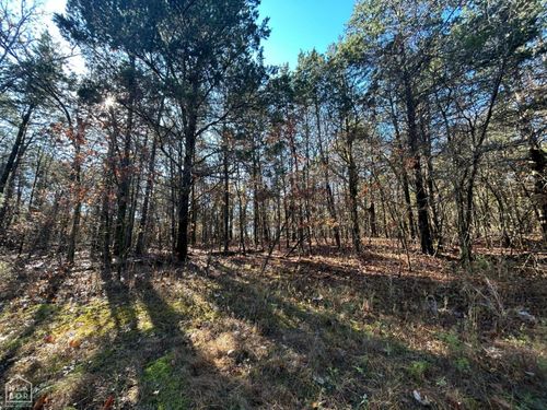 20 Acres Persimmon Point Road, Lead Hill, AR, 72644 | Card Image