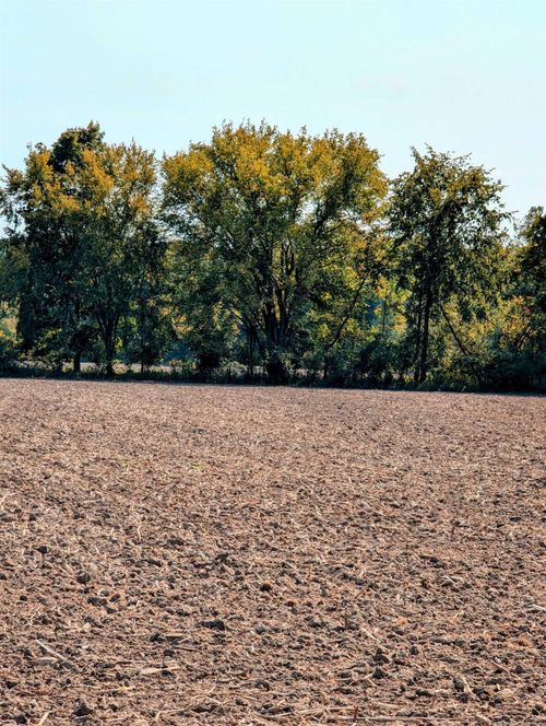 31 Mile Rd, Ray, MI, 48096 | Card Image