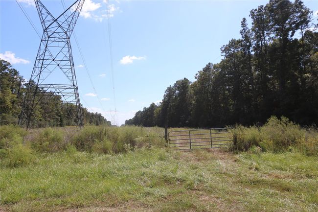 18156 State Highway 87 S, Home with 0 bedrooms, 0 bathrooms and null parking in Call TX | Image 10