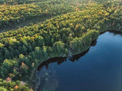 Lot 3 E Shore Rd, Lakeville, ME, 04487-7813 | Card Image
