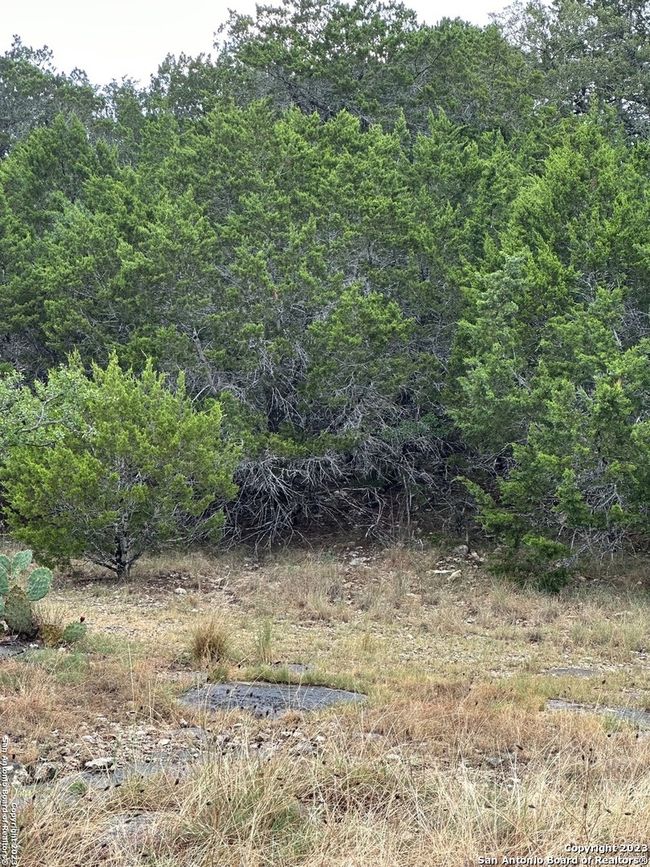 00 Comanche Path, Home with 0 bedrooms, 0 bathrooms and null parking in Bandera TX | Image 5