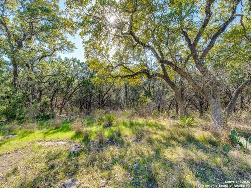 223 Lakeview Cir, Spring Branch, TX, 78070-5380 | Card Image