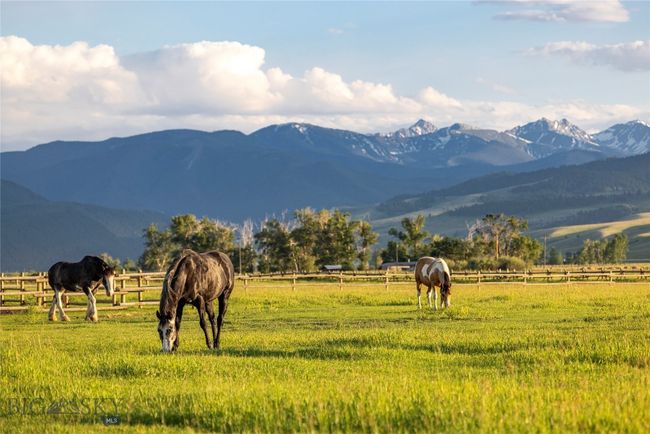 Fantastic Equestrian Property | Image 10