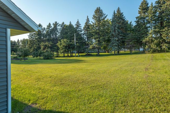 Beautiful Mature trees in the back yard | Image 20