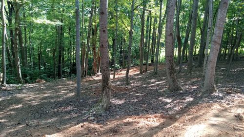 0 Leeward Dr, Moneta, VA, 24121 | Card Image