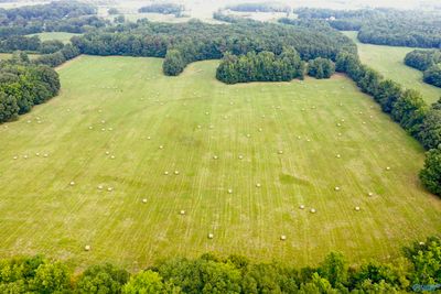 70 Acres County Road 170, Home with 0 bedrooms, 0 bathrooms and null parking in Hillsboro AL | Image 1