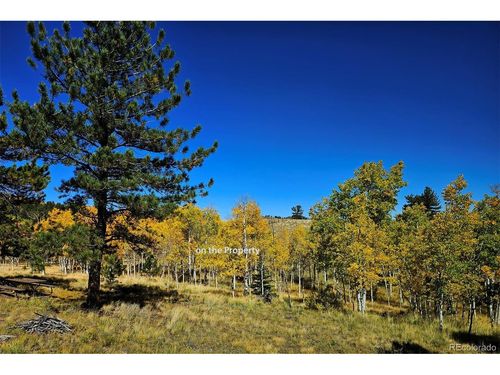51 Singletree Ln, Hartsel, CO, 80449-8557 | Card Image