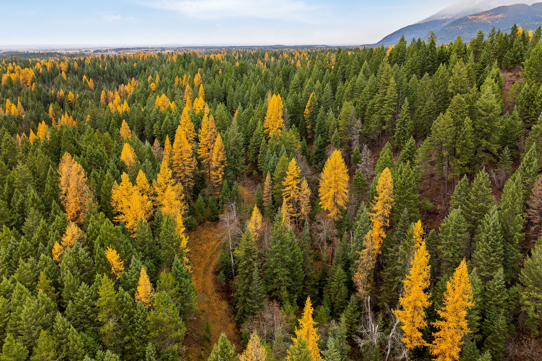 Land in Kalispell 5