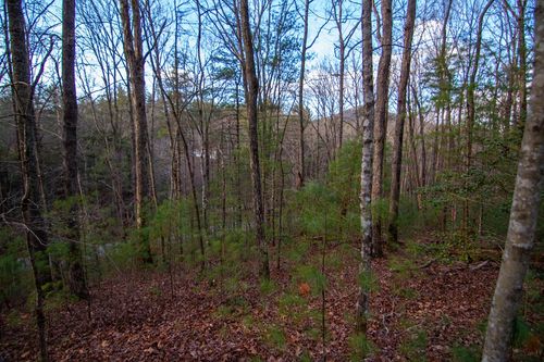 1 Rock Creek Ln, Cherry Log, GA, 30522-3001 | Card Image
