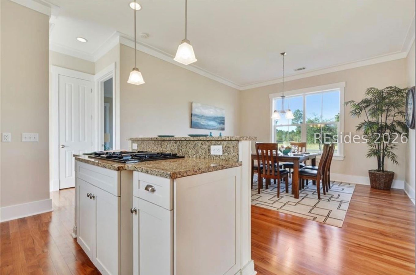 Residential in Hardeeville 5