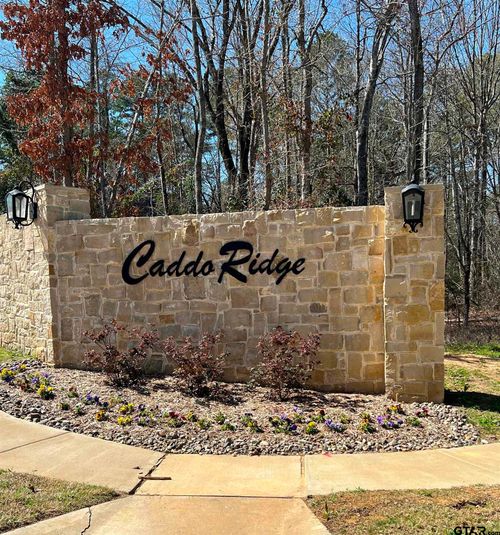 9295 Caddo Ridge Cv, Tyler, TX, 75703-6084 | Card Image